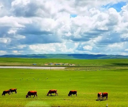 艱苦卓絕，奮楫篤行! 2025唐姆渠道事業(yè)部年中營銷峰會圓滿舉行