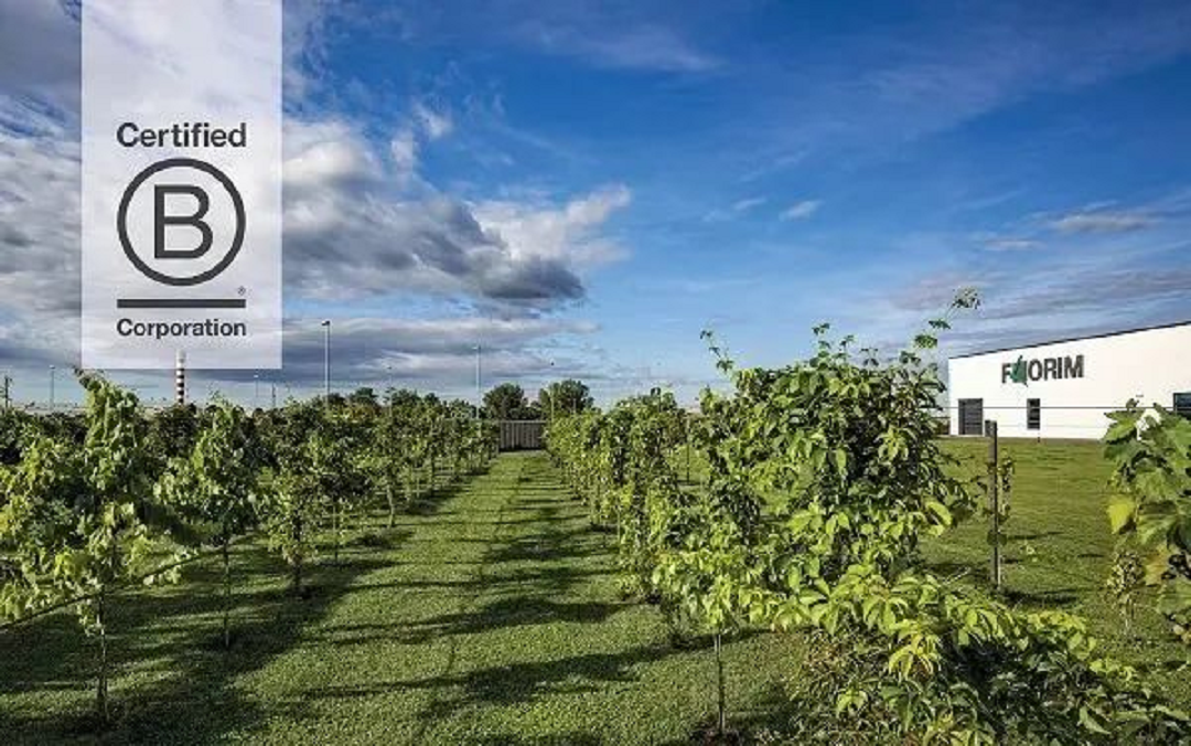 1682242872325689.png 圖片6.png