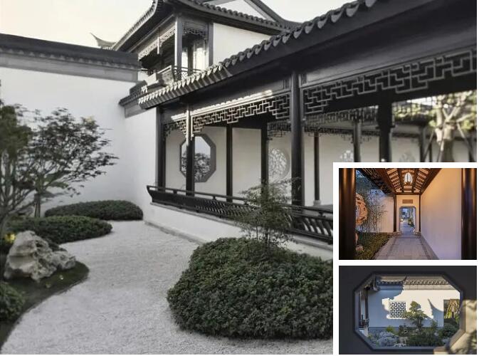 1697592295653227.jpg 9.jpg