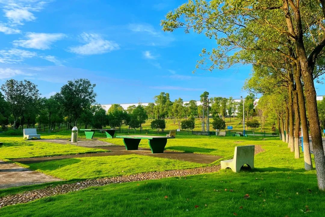 1706337858673600.jpg 3.jpg