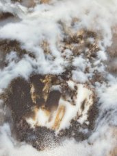 1718178215763238.png image.png