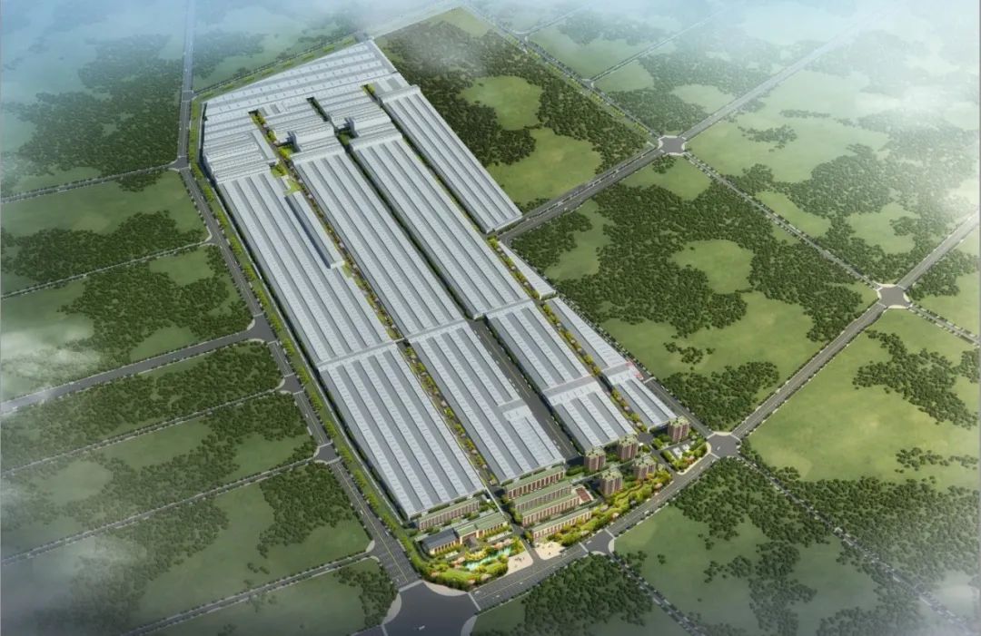 1755851066548525.jpg 東鵬2.jpg